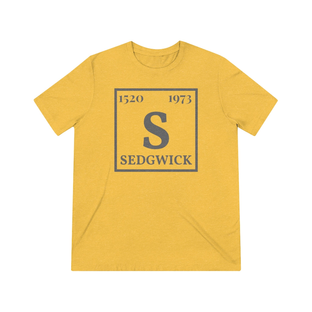 Unisex Hip-Hop Elements Sedgwick 'S' Tee